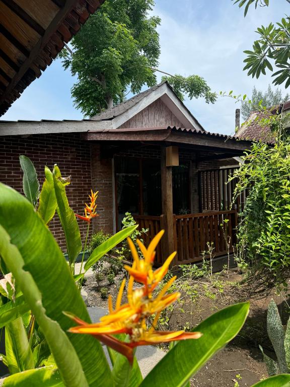 Kalua Boutique Bungalows - Deluxe Double Room