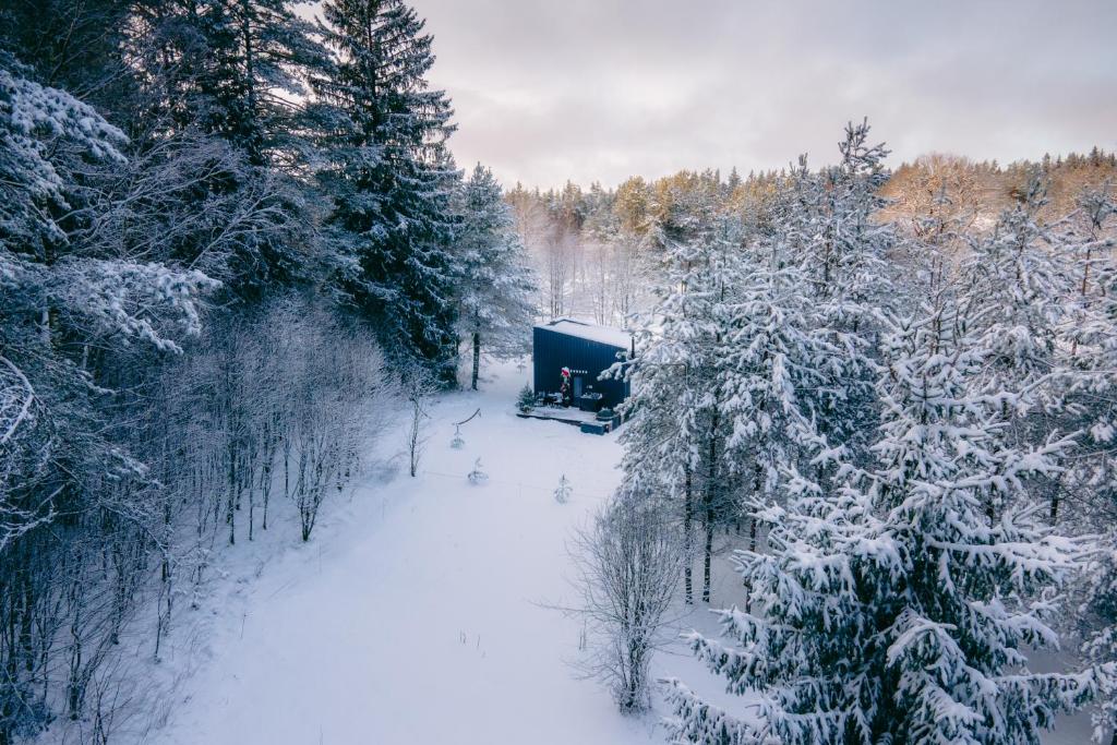 eine Hütte inmitten eines schneebedeckten Waldes in der Unterkunft NEILA - 'Virš Ąžuolų' - Forest SPA - FREE jacuzzi in Paplatelė