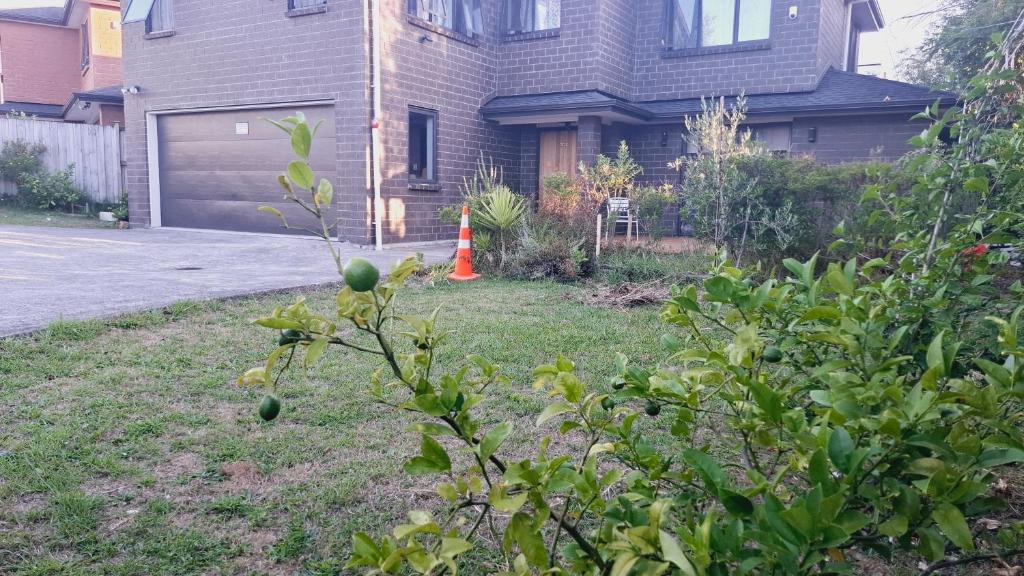 Modern Sunny & Comfy Rooms near Henderson, Auckland - Resim 8