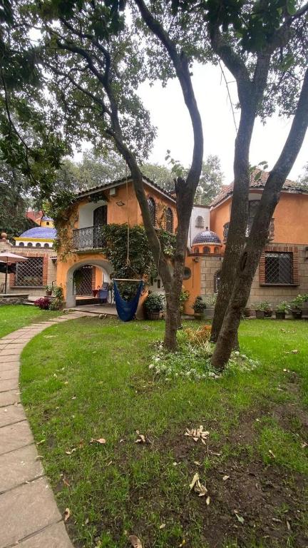 a house with two trees in front of a yard at beautiful house, oasis dentro de la ciudad in Mexico City
