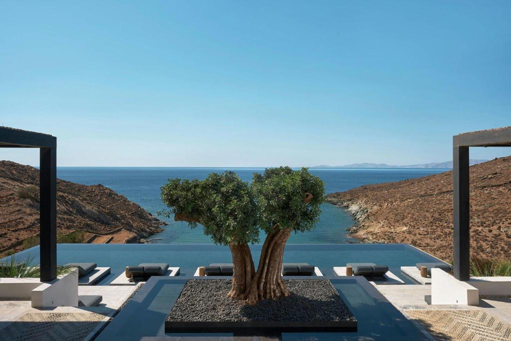 a tree sitting on a table next to the water at Odera, Tinos, Autograph Collection in Kionia