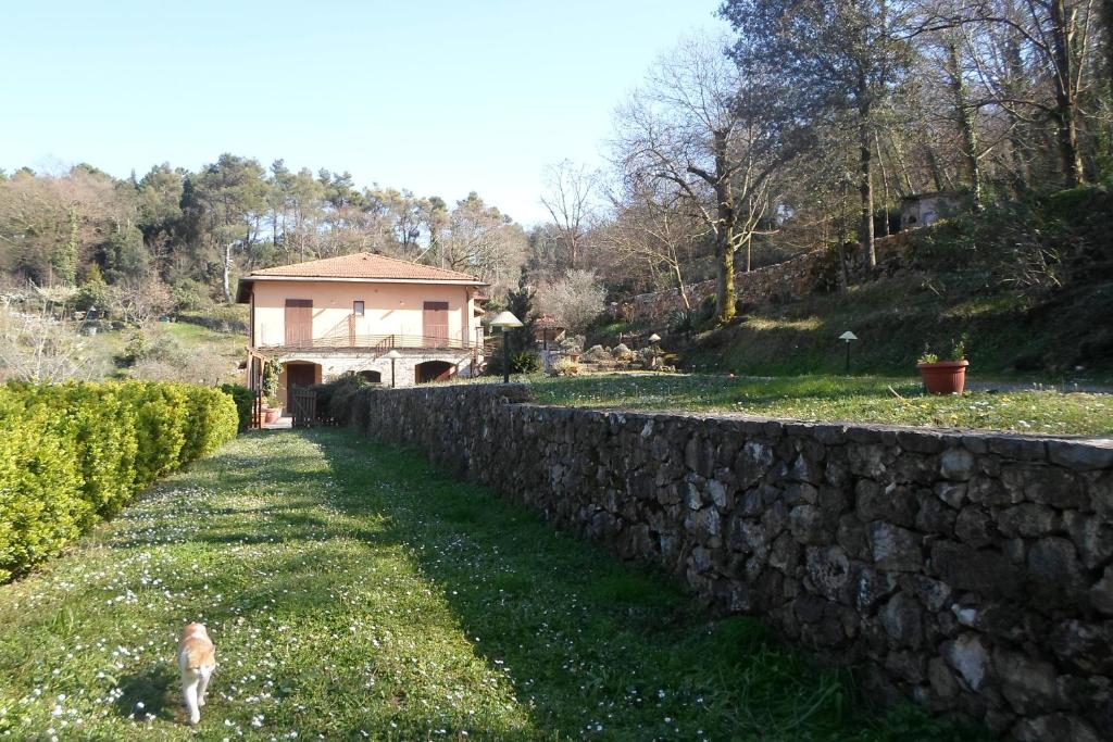 a dog walking in the grass next to a stone wall at I Lecci in Lerici