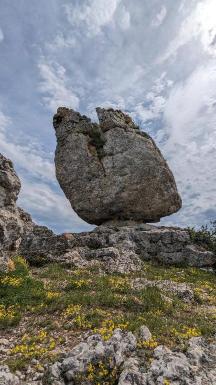 Fotografie z fotogalerie ubytování Aux coeurs du Méjean v destinaci Mas Saint-Chély