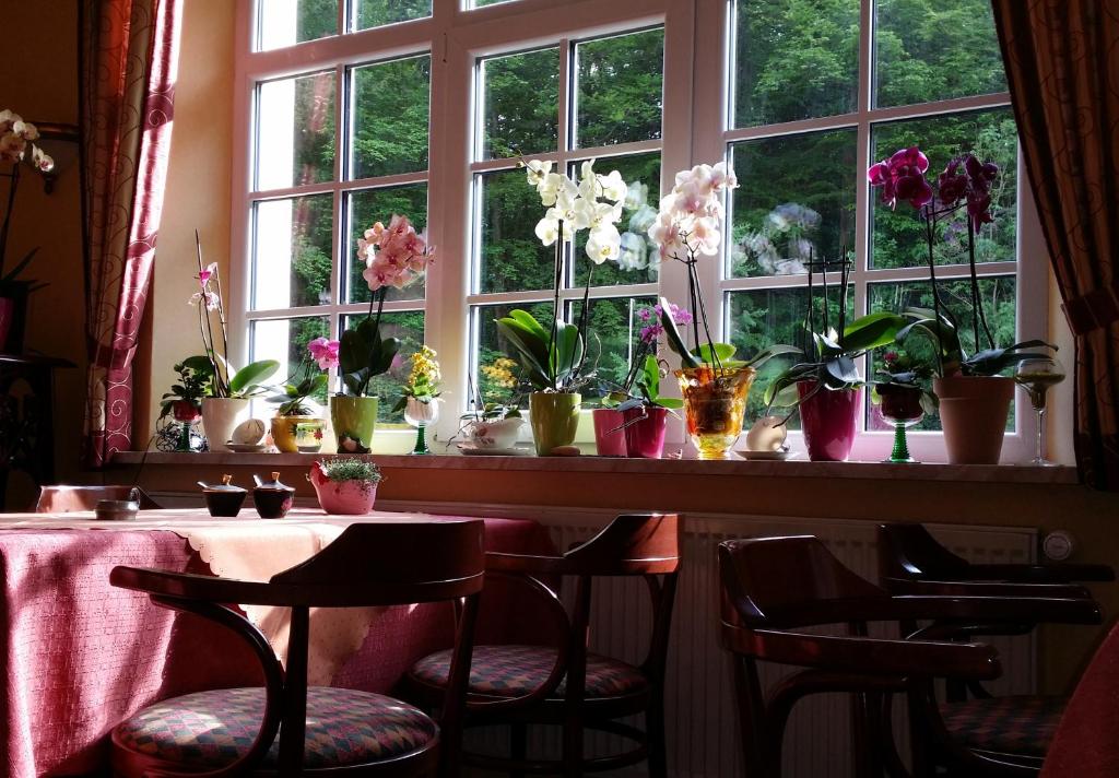 Restaurace v ubytování Rhön Hotel Waldcafé St. Georg