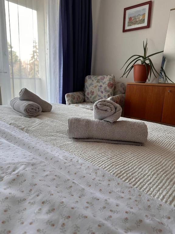 a bedroom with a bed with towels on it at Green paradise near Vienna 3 room and balcony in Maria Enzersdorf