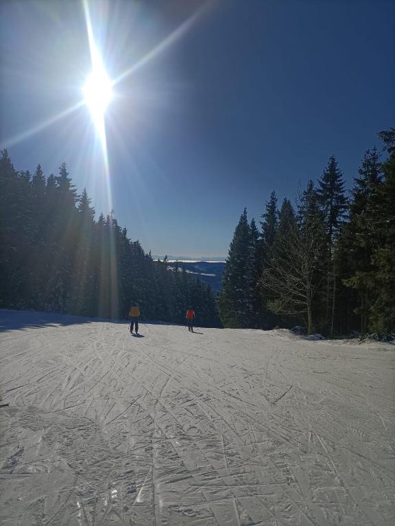Schöne Aussicht v zimě