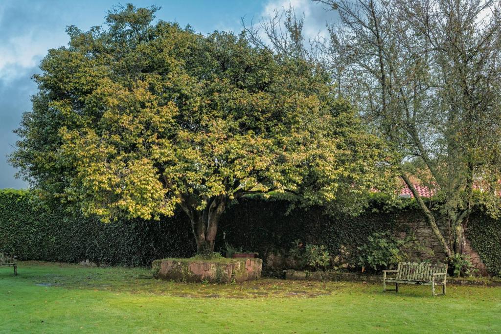 Hotel Palacio del Carmen, Autograph Collection - Resim 42