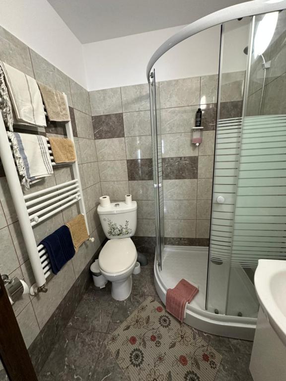 Koupelna v ubytování Casa Cezara