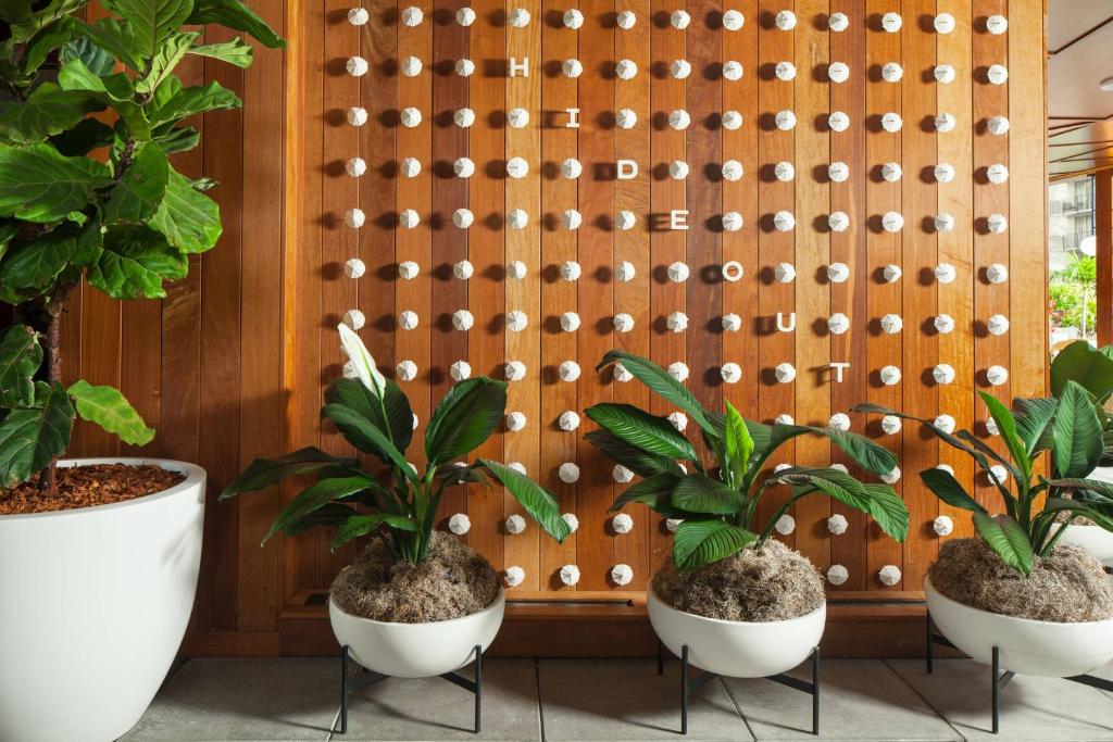The Laylow Waikiki, Autograph Collection photo