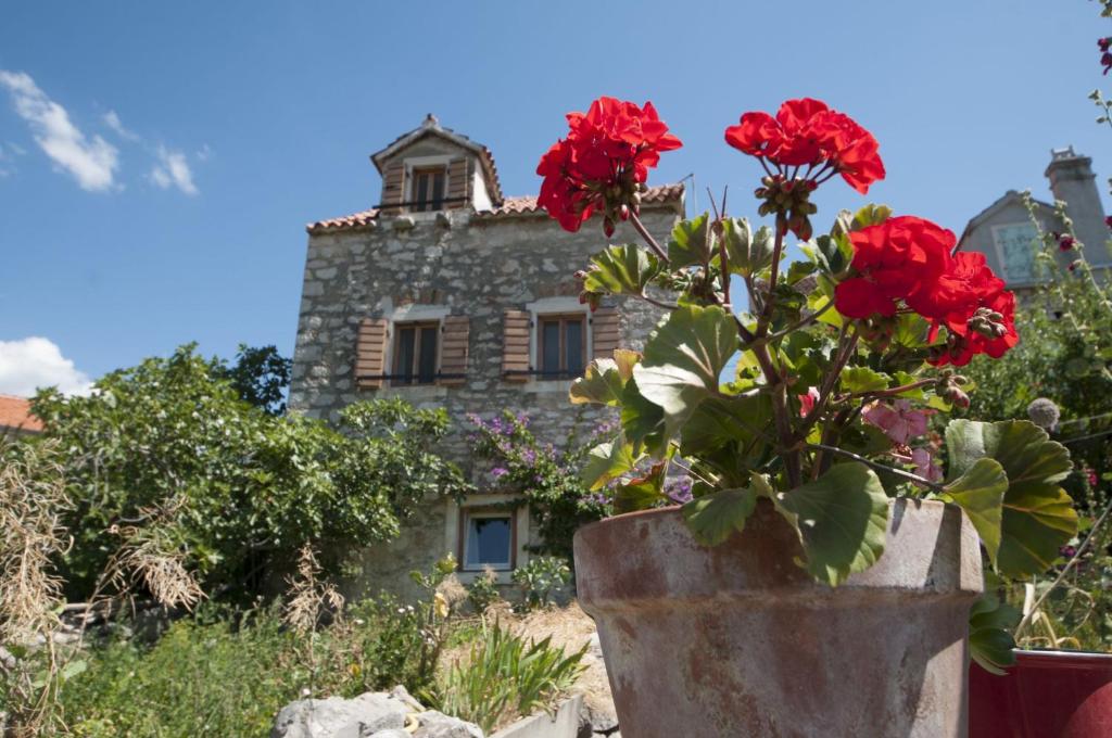 una maceta de flores con flores rojas delante de una casa de piedra en Stone house Na Rudini en Zlarin