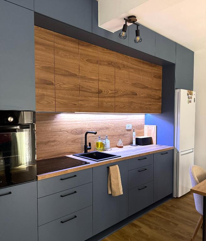 eine Küche mit Spüle und Kühlschrank in der Unterkunft Apartment Simovic in Cetinje