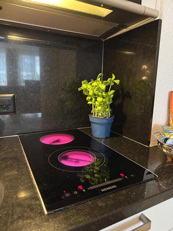 Köök või kööginurk majutusasutuses Business Apartments Zentrum Grenchen