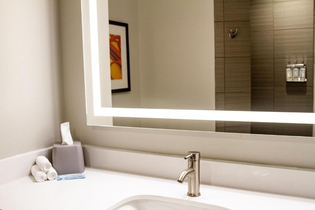 Holiday Inn Express & Suites Overland Park by IHG - Camera King Standard