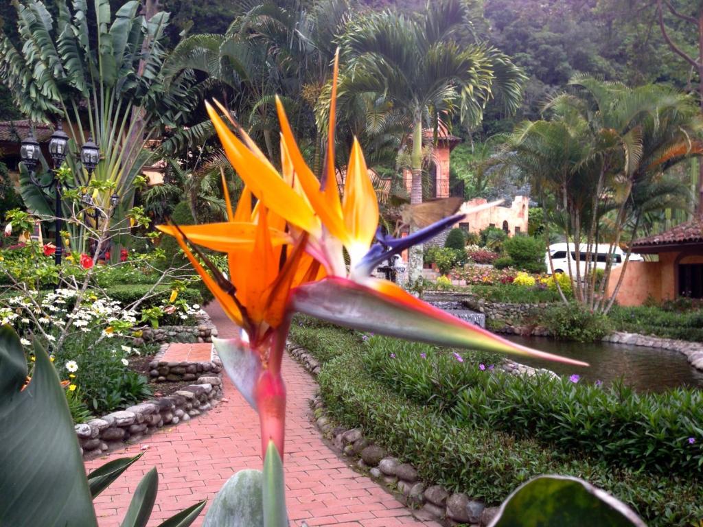 Zahrada ubytování Valle Escondido Wellness Resort