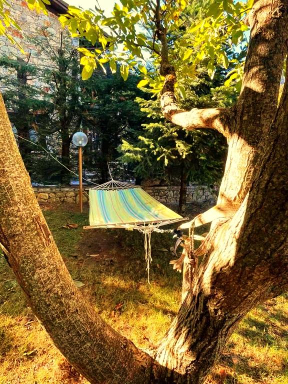 Zahrada ubytování Pinecone Lodge, Eptalofos Wellness Chalet