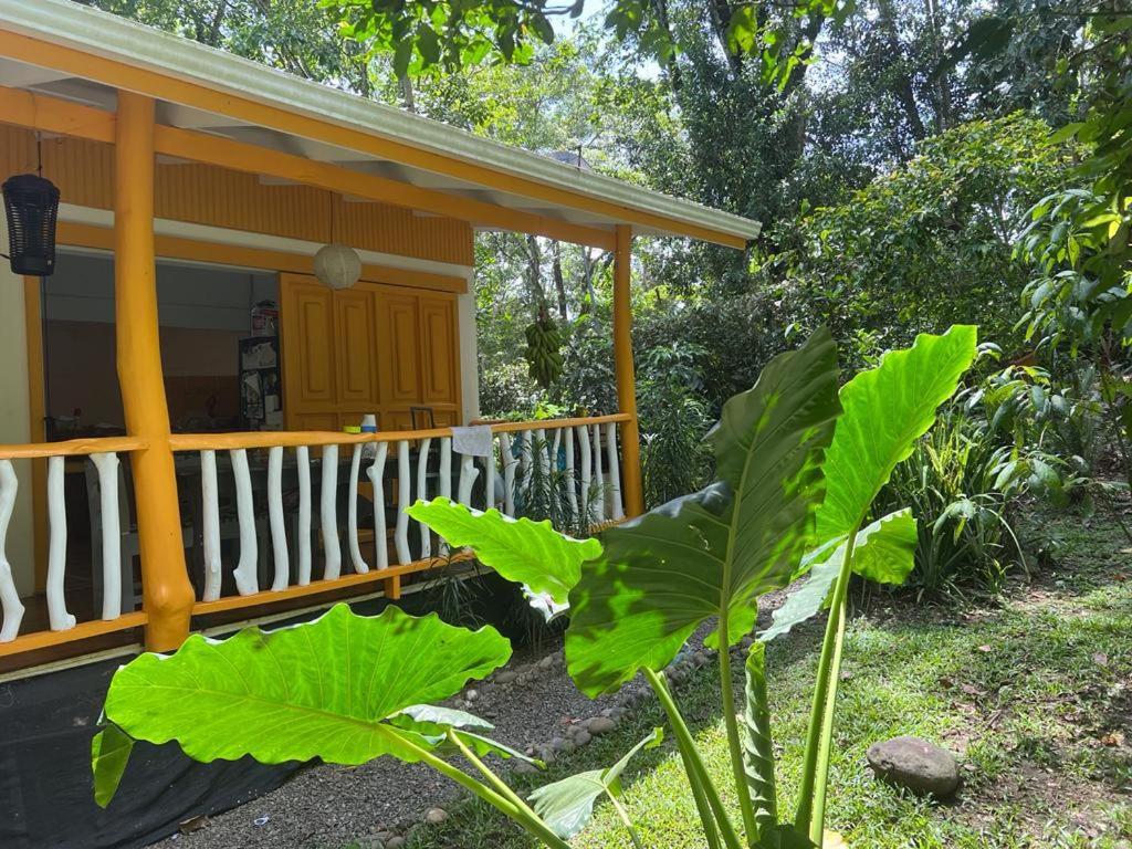 Zahrada ubytování Casa gardenia cocles beach