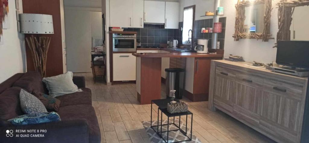 un salon avec un canapé et une cuisine dans l'établissement cap houra, au Cap d'Agde