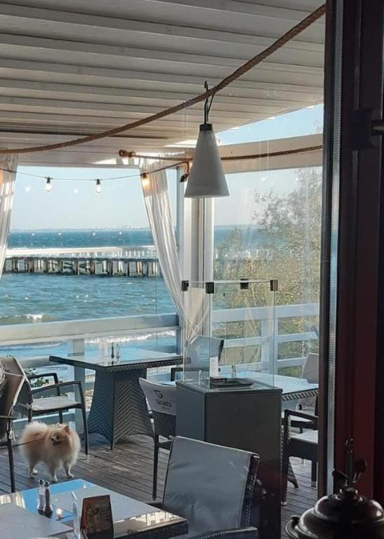 Výhľad na rieku v blízkosti apartmánu