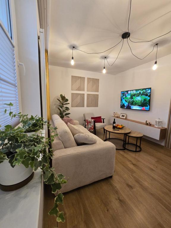 salon z kanapą i telewizorem w obiekcie Silent Apartament w mieście Krynica Zdrój