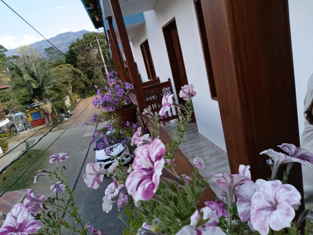 Nespecifikovaný výhled na hory nebo výhled na hory při pohledu z hotelu