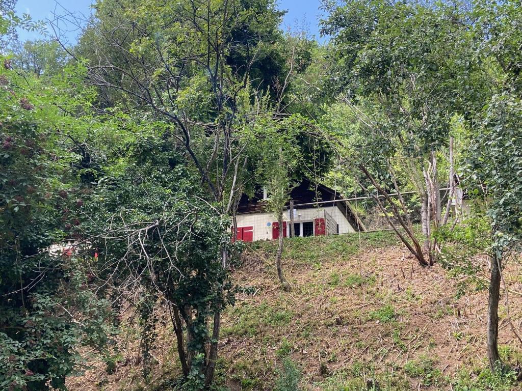 Zahrada ubytování La Bastide d'Albignac