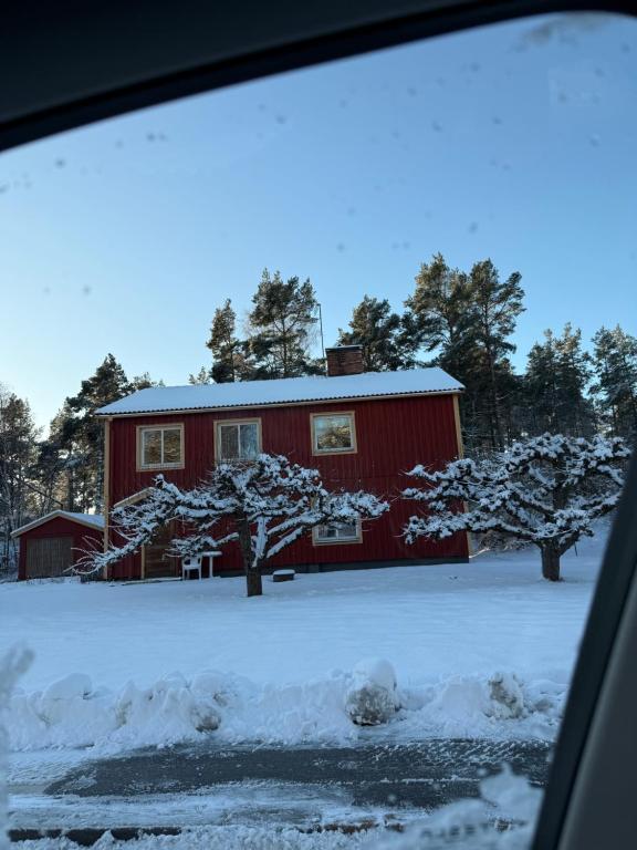 Stort hus v zimě