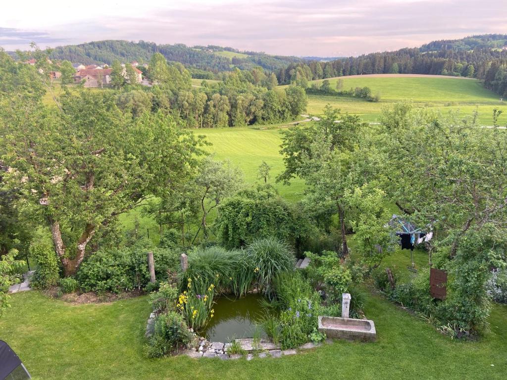 Příroda nedaleko apartmánu