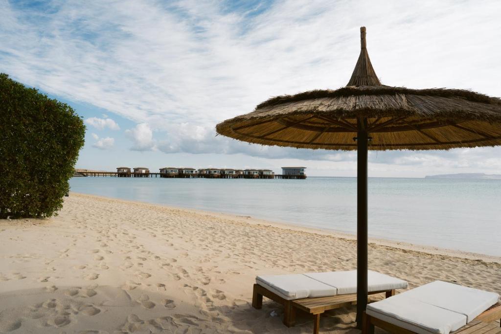 Tawila Island Resort - 4