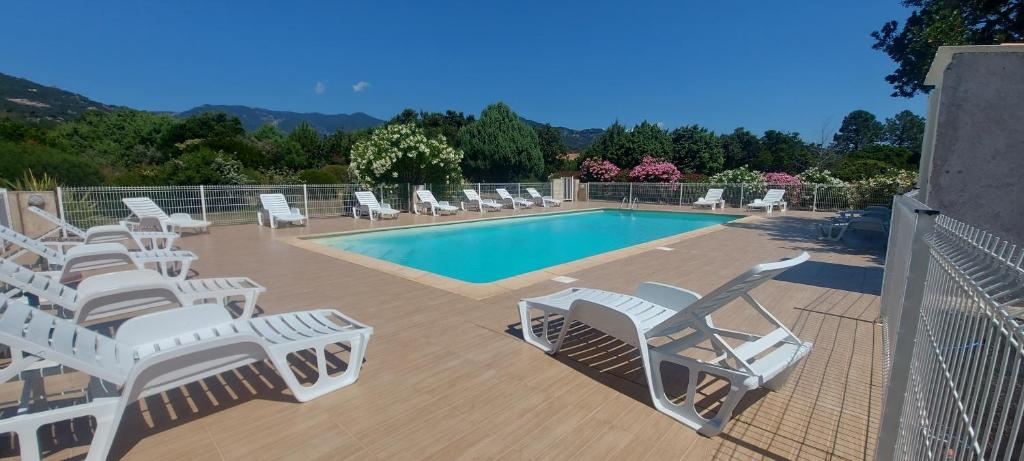 - une piscine avec des chaises longues et un bouquet de resitures dans l'établissement Villa 