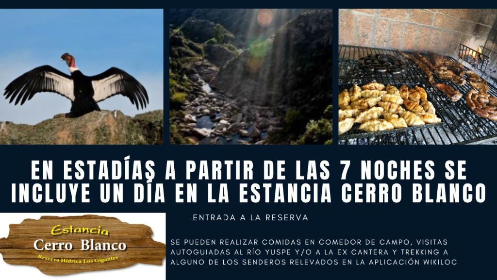 a collage of pictures of a grill with a bird at Chalet interno con rooftop in Villa Carlos Paz