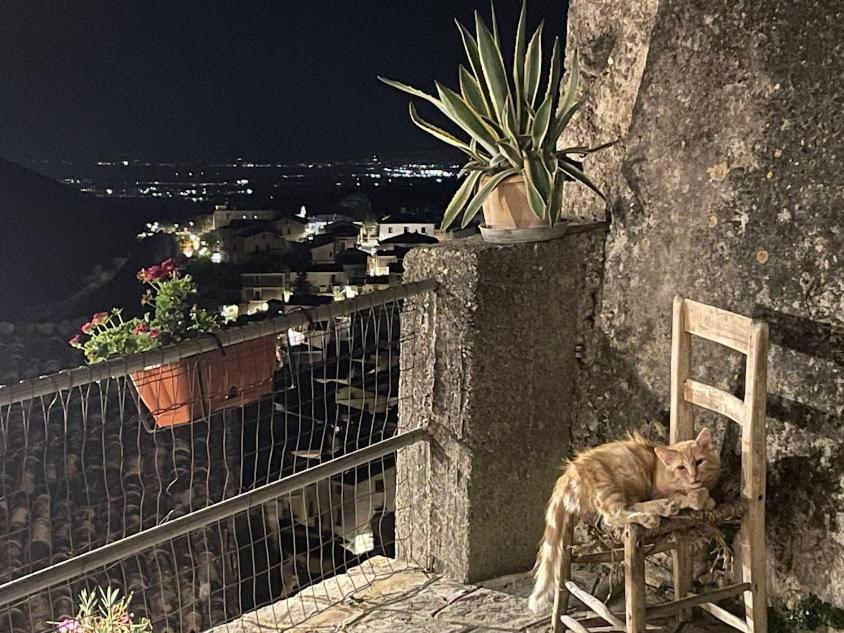 Balkón nebo terasa v ubytování B&B Dhafna
