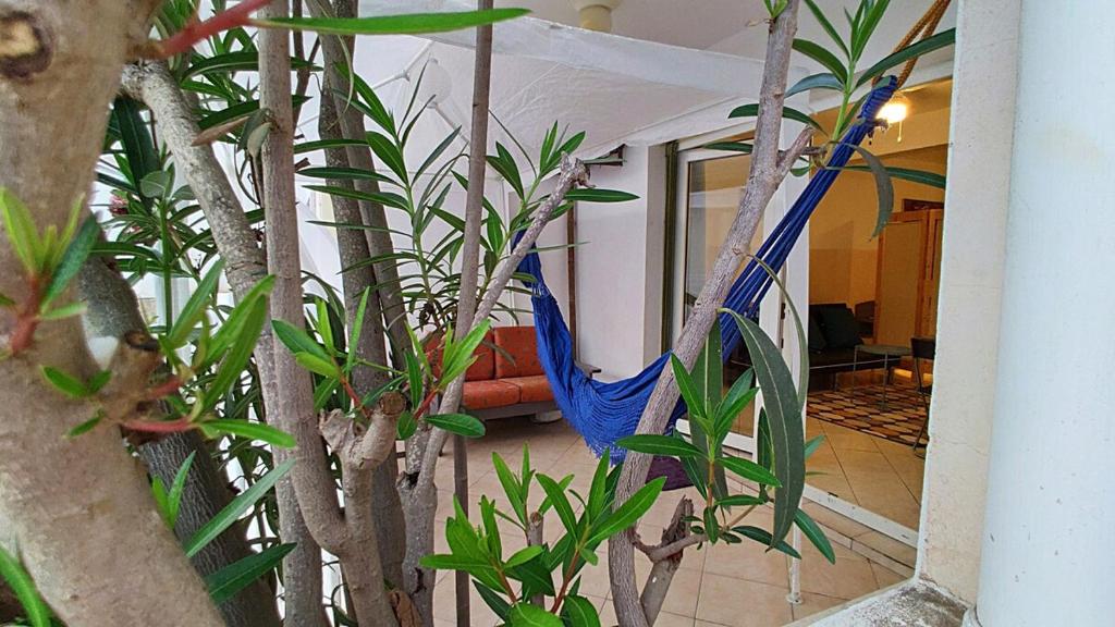 Una hamaca azul en una habitación con árboles. en Studio Murdeira Beach Pool Bay, en Beirona