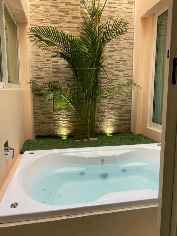 a bath tub with a palm tree in a bathroom at Porto Regina Suite in Cancún