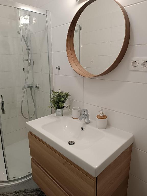 Koupelna v ubytování Silver apartman