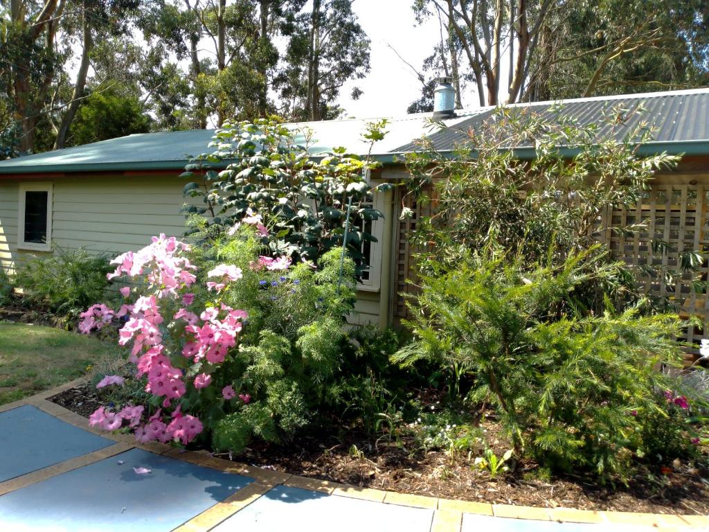 FlowerdaleにあるThe Olive House Tasmaniaのピンクの花の庭園