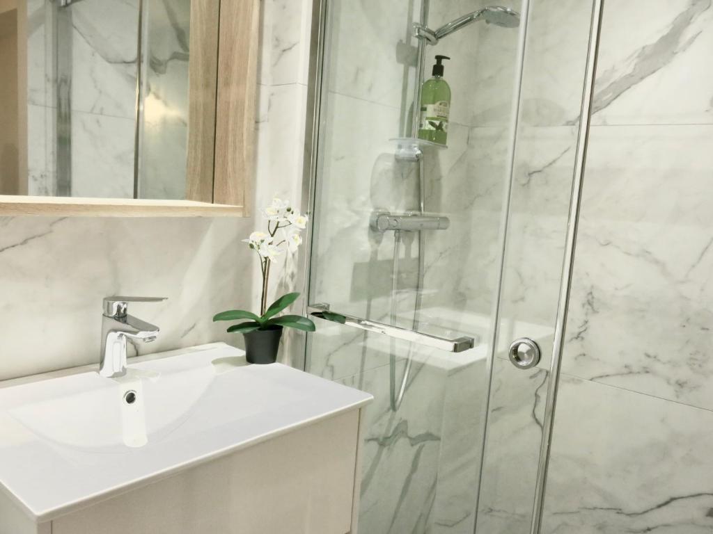 a bathroom with a shower and a sink at Les Petits Volets 3 appartements au choix in Antibes