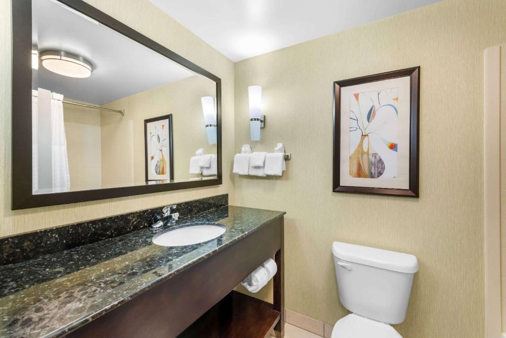 Comfort Suites Knoxville West - Farragut photo