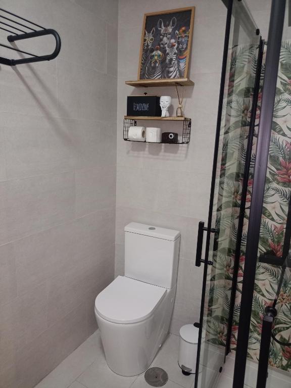 a bathroom with a toilet and a shower at La Lunita in Valverde