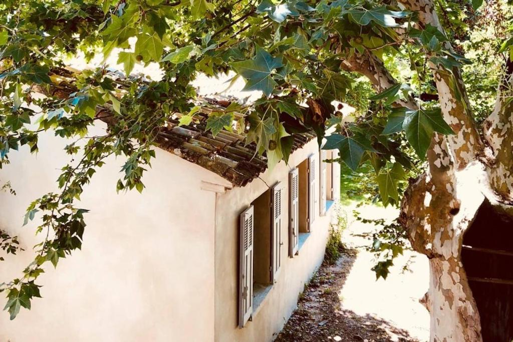 un bâtiment blanc avec des fenêtres bleues et un arbre dans l'établissement Le Poulailler, private house with garden and parking, à Aix-en-Provence