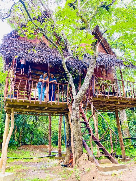 Zahrada ubytování Atha Tree House