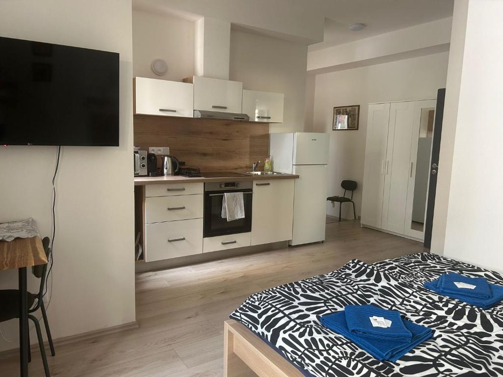 Kuchyň nebo kuchyňský kout v ubytování City Center Apartments - Moderna Brno Římské náměstí I