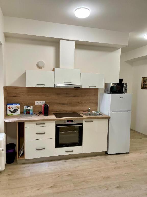 Kuchyň nebo kuchyňský kout v ubytování City Center Apartments - Moderna Brno Římské náměstí I