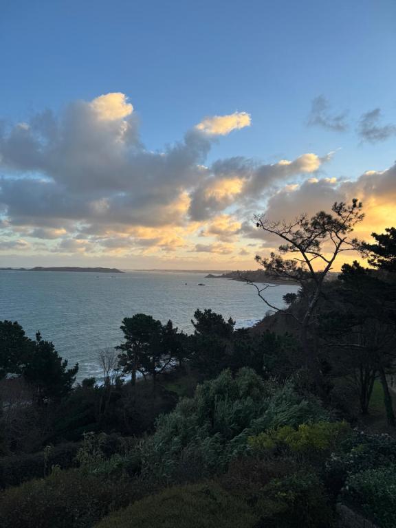 Příroda nedaleko vily