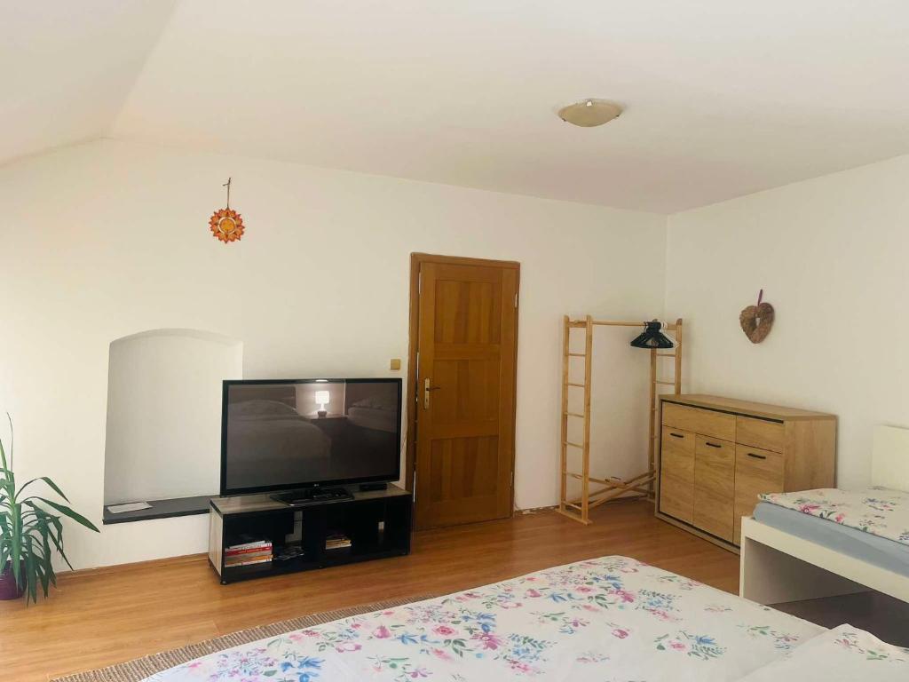 TV a/nebo společenská místnost v ubytování Apartmán U Slunečnice