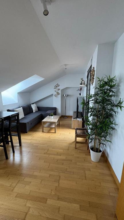 Posezení v ubytování Apartamentos Suites Olmedo