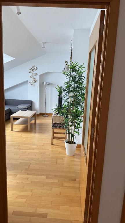 Posezení v ubytování Apartamentos Suites Olmedo