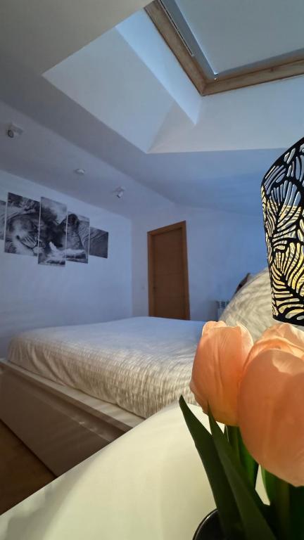 Postel nebo postele na pokoji v ubytování Apartamentos Suites Olmedo
