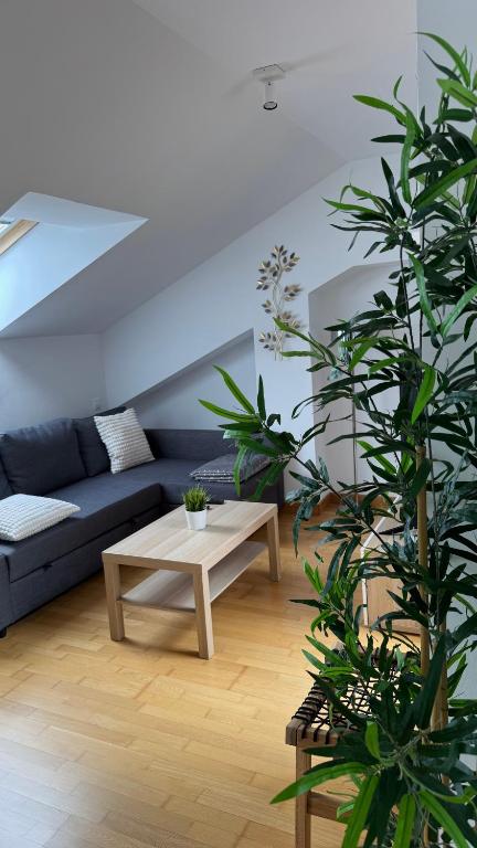 Posezení v ubytování Apartamentos Suites Olmedo