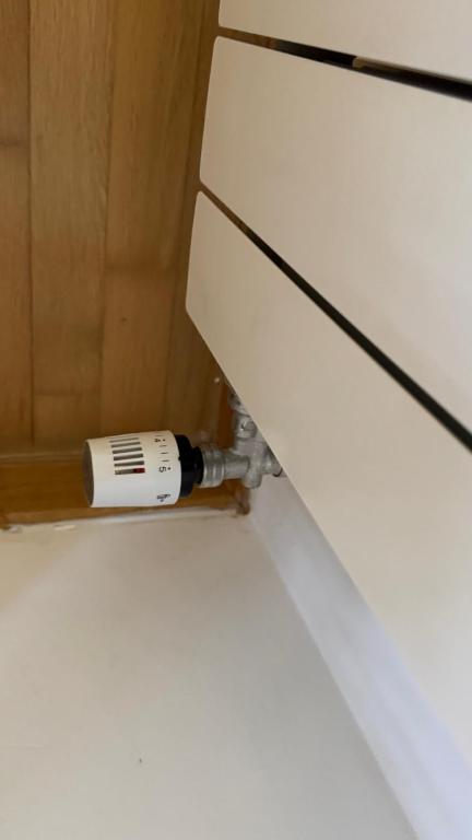 Fotografie z fotogalerie ubytování Apartamentos Suites Olmedo v destinaci Olmedo