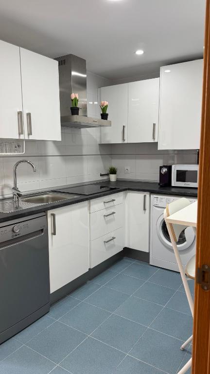Kuchyň nebo kuchyňský kout v ubytování Apartamentos Suites Olmedo